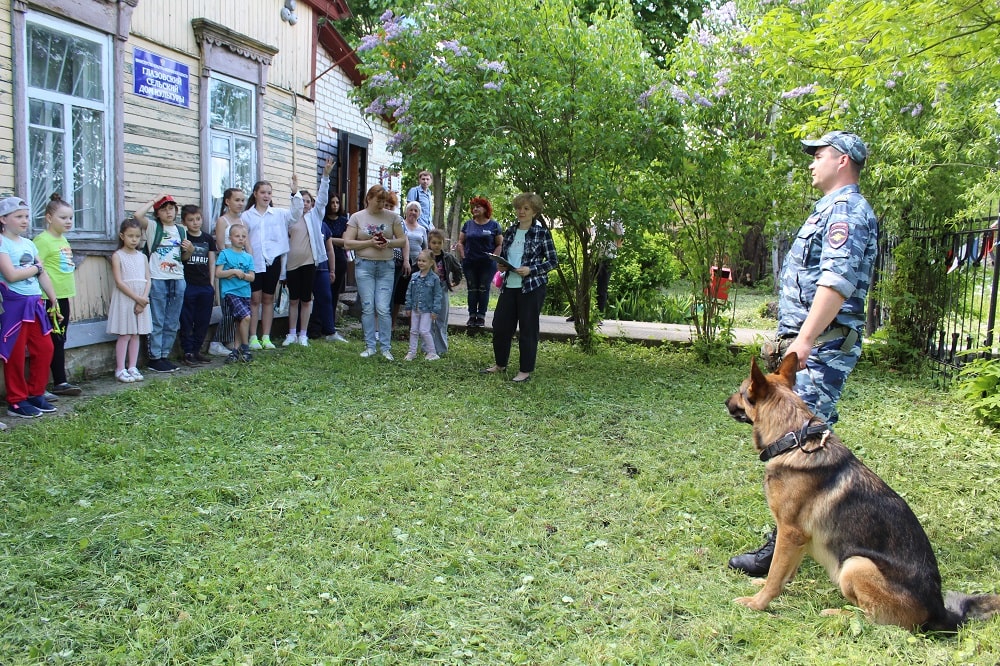 В г.о. Серпухов полицейские – кинологи провели акцию «Знакомство с профессией»